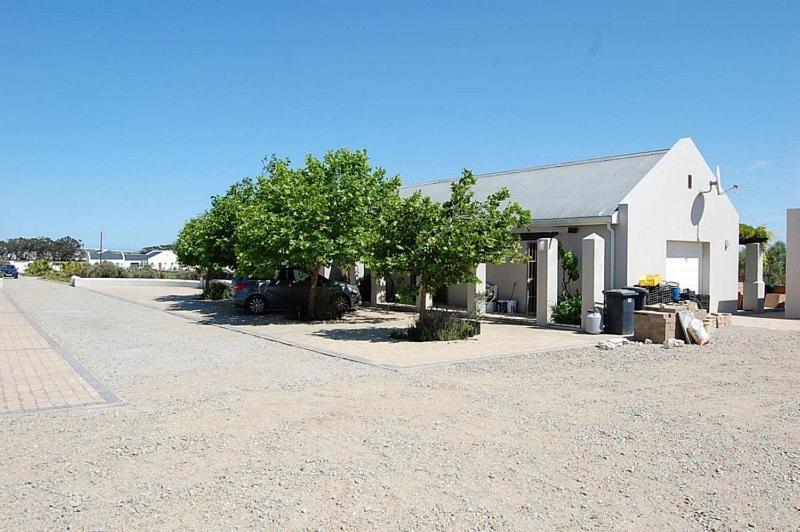 Longacre Olive & Vineyard Estate Guest House Лангебан Екстериор снимка