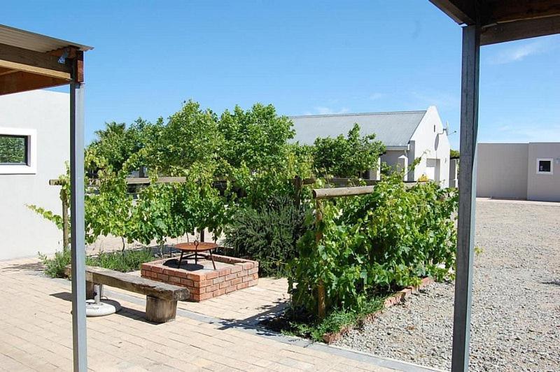 Longacre Olive & Vineyard Estate Guest House Лангебан Екстериор снимка