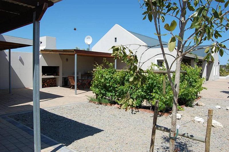 Longacre Olive & Vineyard Estate Guest House Лангебан Екстериор снимка